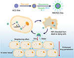 Frontiers | Enzyme-Responsive Nanoparticles for Anti-tumor Drug ...