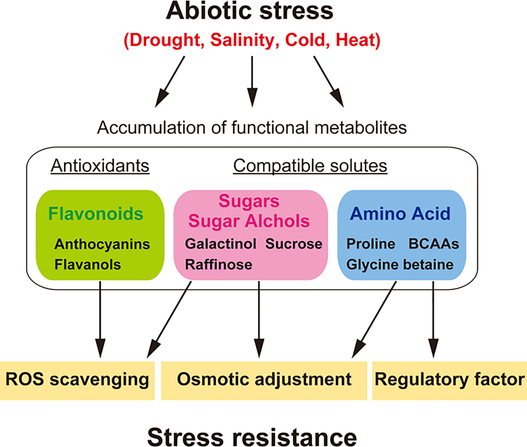 Drought stress. Abiotic Factor игра. Abiotic stress Resistance Plant. Abiotic Factor измерения.