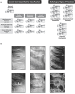 Frontiers | Glucocorticoid-Induced Osteoporosis: Why Kids Are Different ...