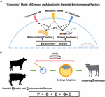 Frontiers | Parental Effects on Epigenetic Programming in Gametes and ...