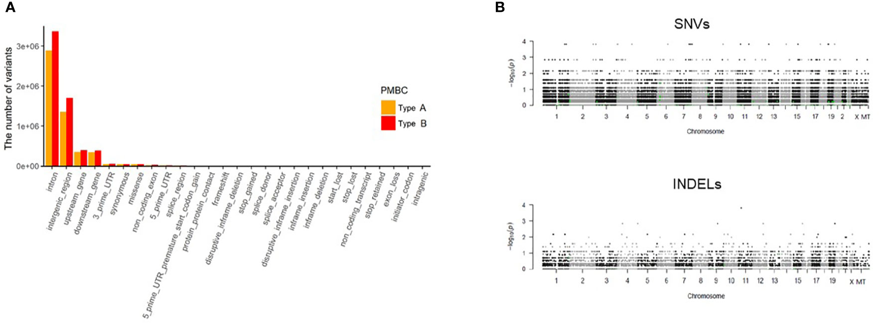 Frontiers | Clinicopathological And Molecular Analysis Of 45 Cases Of ...