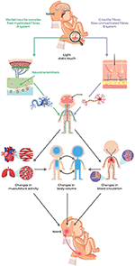 Frontiers | Neonatal Assessment Manual Score: Is There a Role of a ...