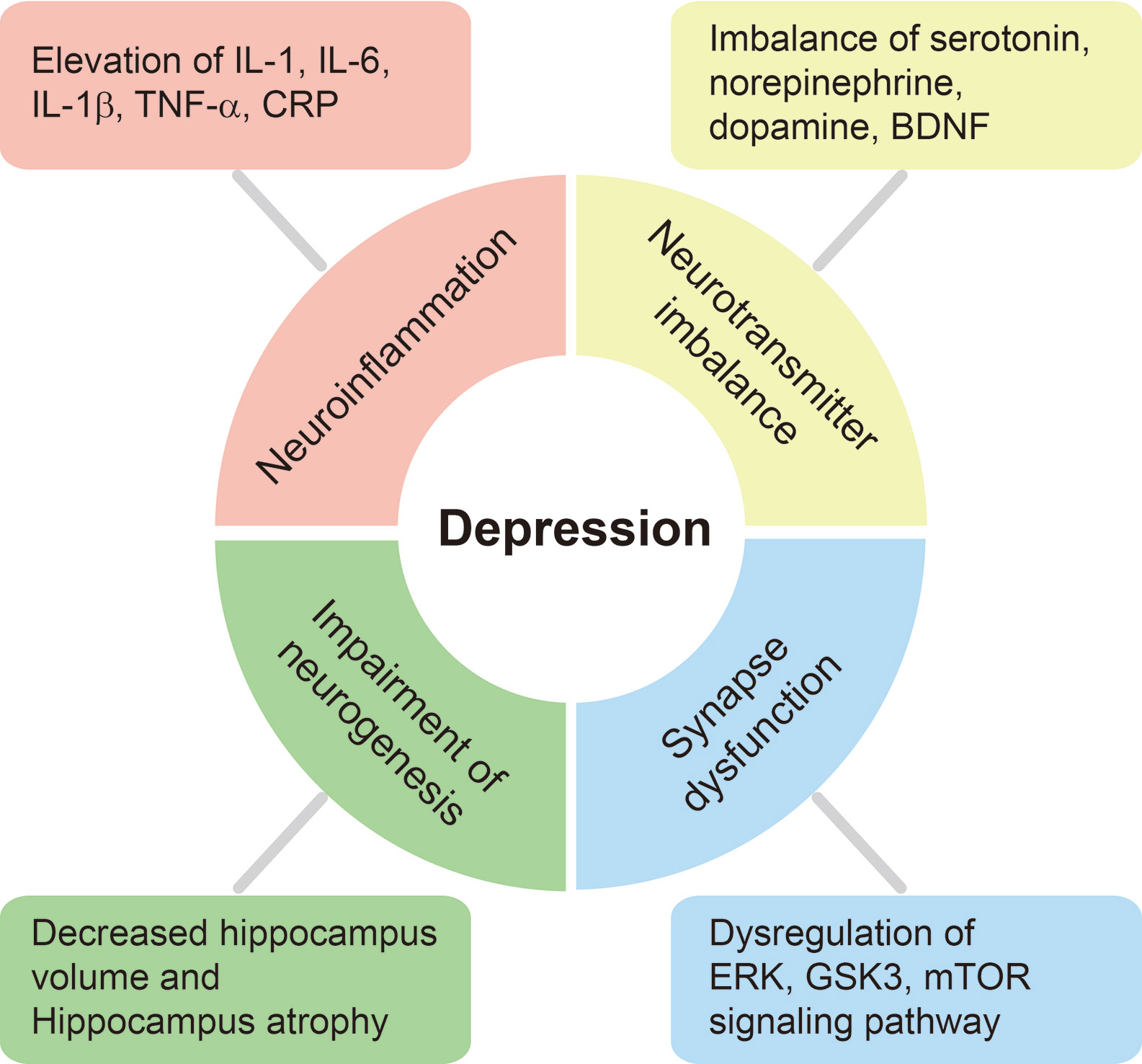 Frontiers | Alleviation of Depression by Glucagon-Like Peptide 1 ...