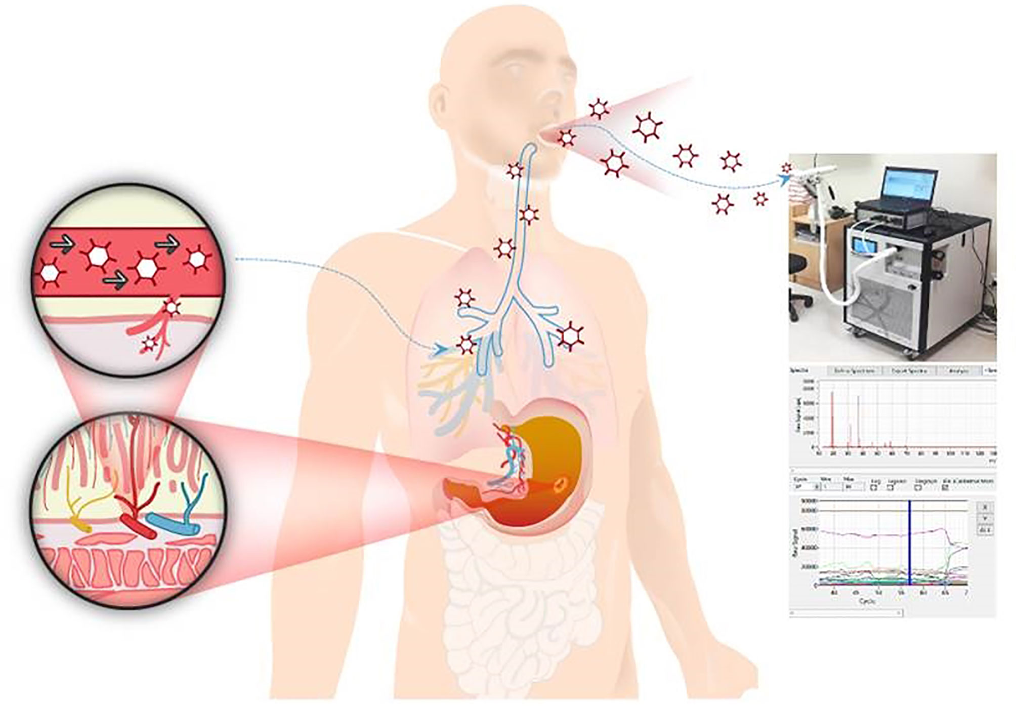 Frontiers Advanced Diagnostic Technology Of Volatile Organic 