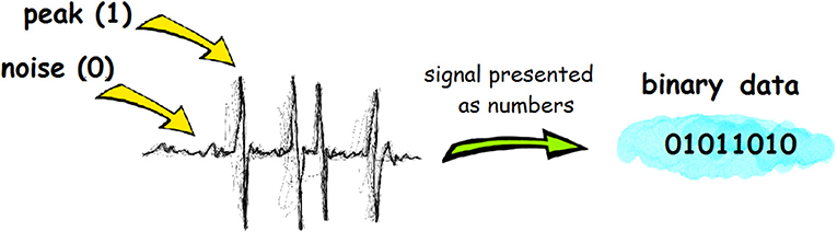 Figure 2 - Electrical impulses can be represented with binary language, as a series of 1 and 0s.