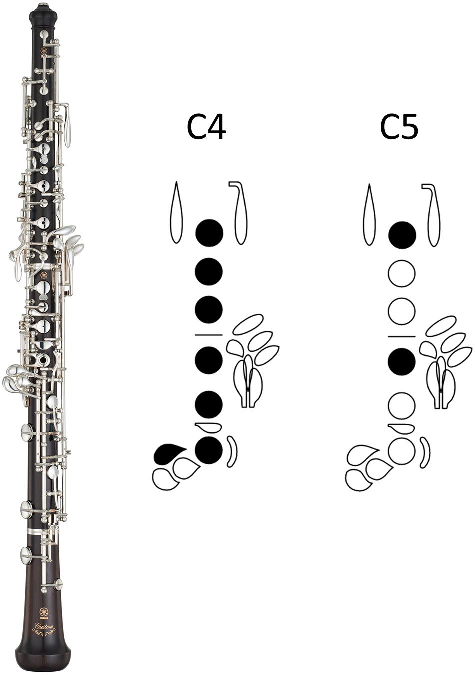 How to Play the Oboe：An instrument that is difficult but worth it! -  Musical Instrument Guide - Yamaha Corporation