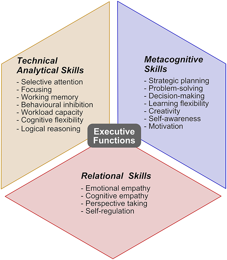 BRAIN Cognitive skills & problem solving assessment