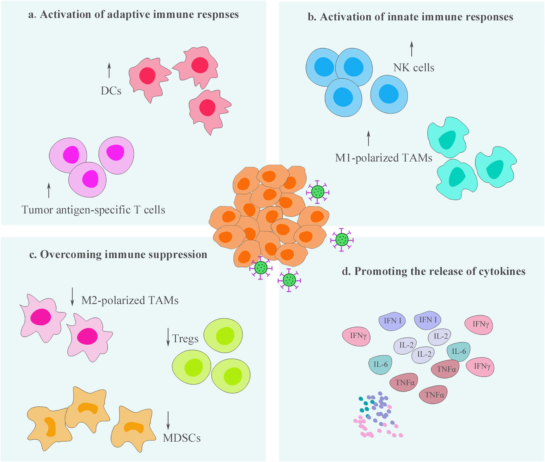 Frontiers Remodeling Of Tumor Immune Microenvironment By Oncolytic