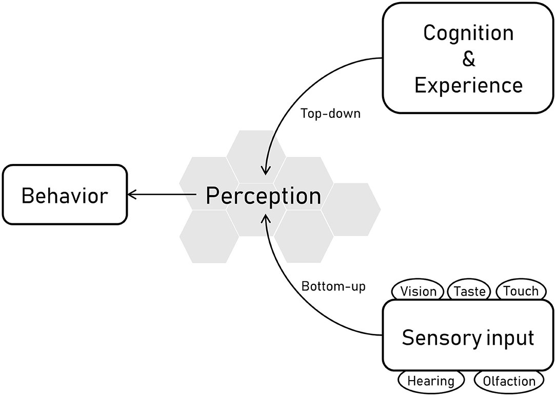 Frontiers  The Tactile-Visual Conflict Processing and Its Modulation by  Tactile-Induced Emotional States: An Event-Related Potential Study