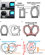 Customization Methodology for Conformable Grasping Posture of Soft Grippers by Stiffness Patterning