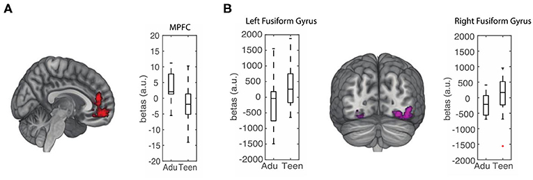 图3——青少年和成年人似乎使用不同的大脑区域,了解他人的喜好。