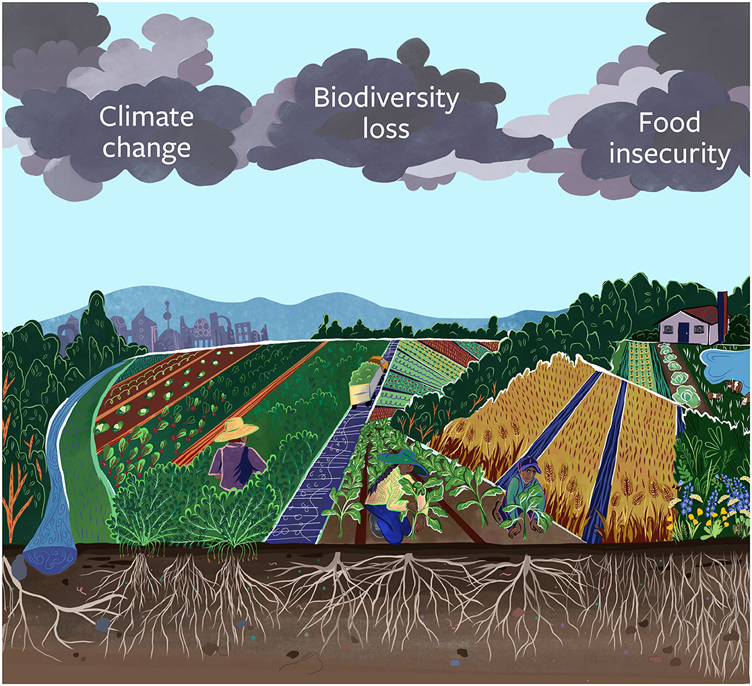  92 OFF Natural Images Vol 141 FAMILY FARMING Agilelabs ai