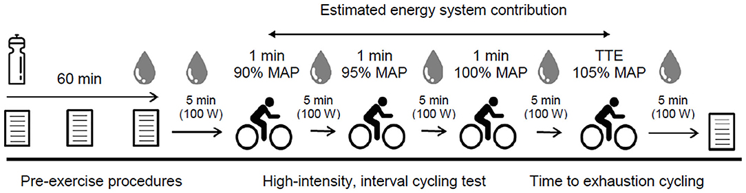 Frontiers  Sodium Bicarbonate Ingestion Improves Time-to-Exhaustion  Cycling Performance and Alters Estimated Energy System Contribution: A  Dose-Response Investigation