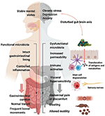 Frontiers | Increasing Evidence That Irritable Bowel Syndrome and ...