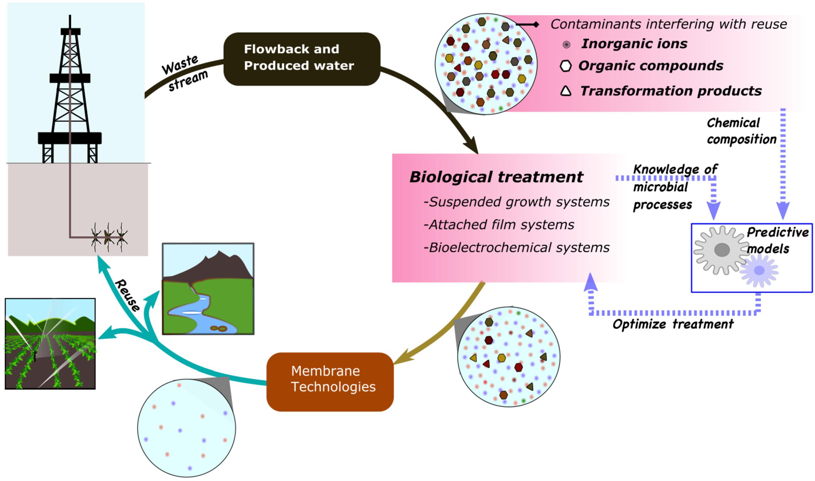 Frontiers | Emerging Trends in Biological Treatment of Wastewater From ...