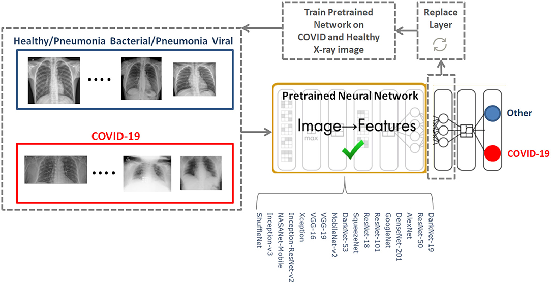 Frontiers  The Effectiveness of Image Augmentation in Deep