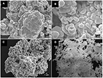 Frontiers | Synthesis of Zinc Oxide Nanoparticles by Ecofriendly Routes ...