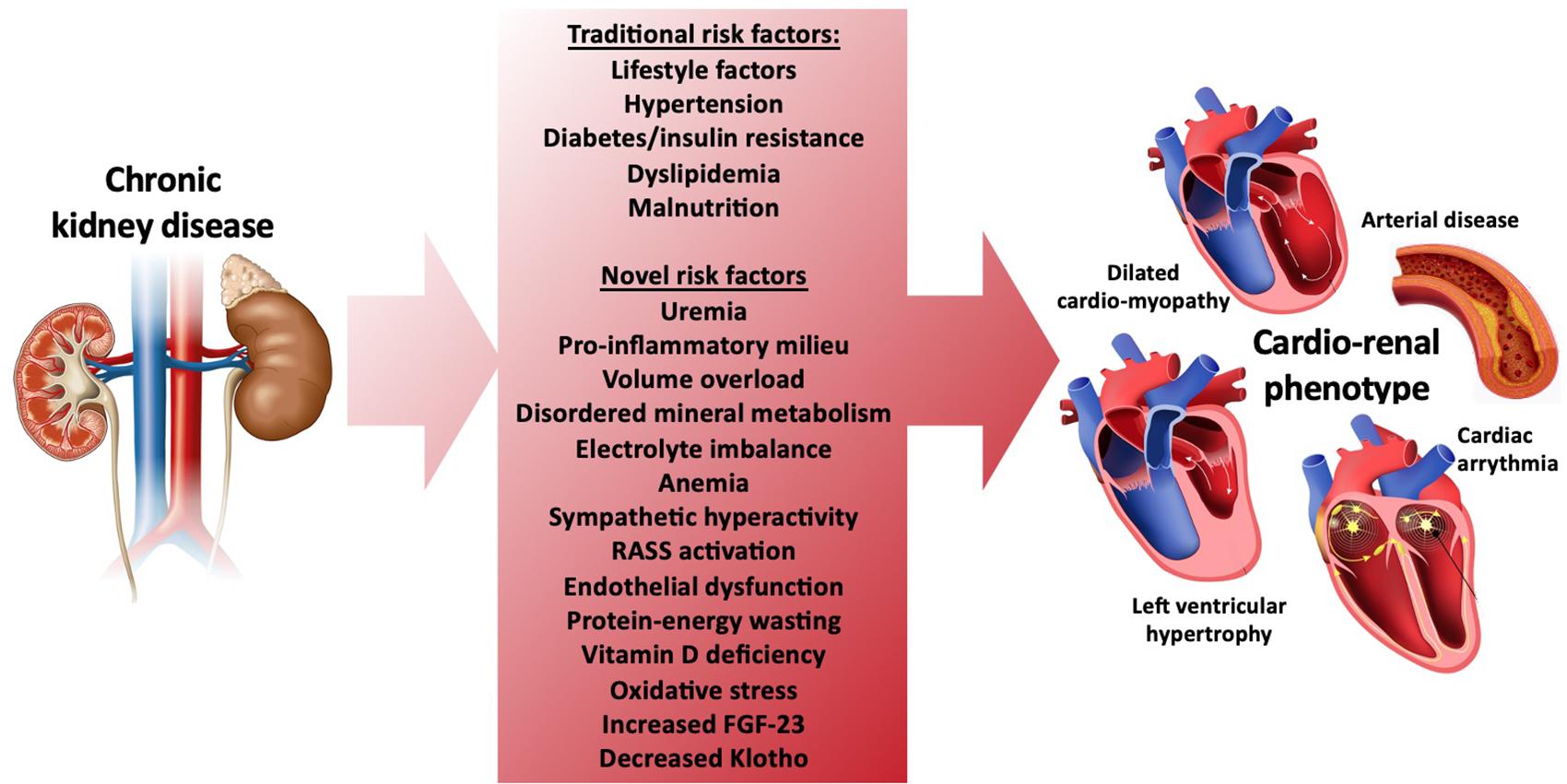 Vol 11, No suppl_1  Circulation: Cardiovascular Quality and Outcomes