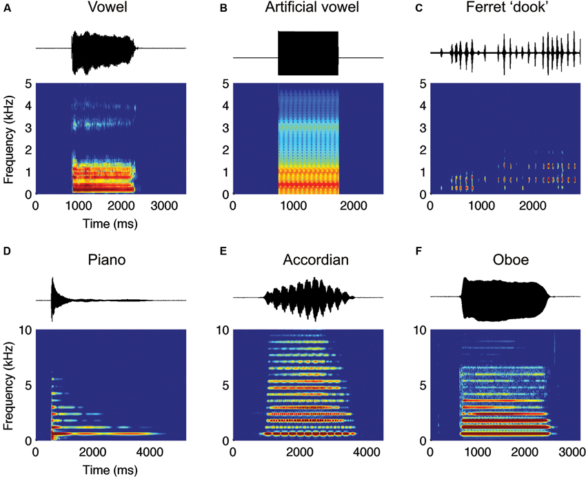 Timbre: Acoustics, Perception, and Cognition