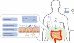 Frontiers | Pb Toxicity On Gut Physiology And Microbiota | Physiology