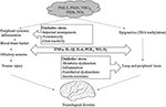 Frontiers | Air Pollution and Central Nervous System Disease: A Review ...