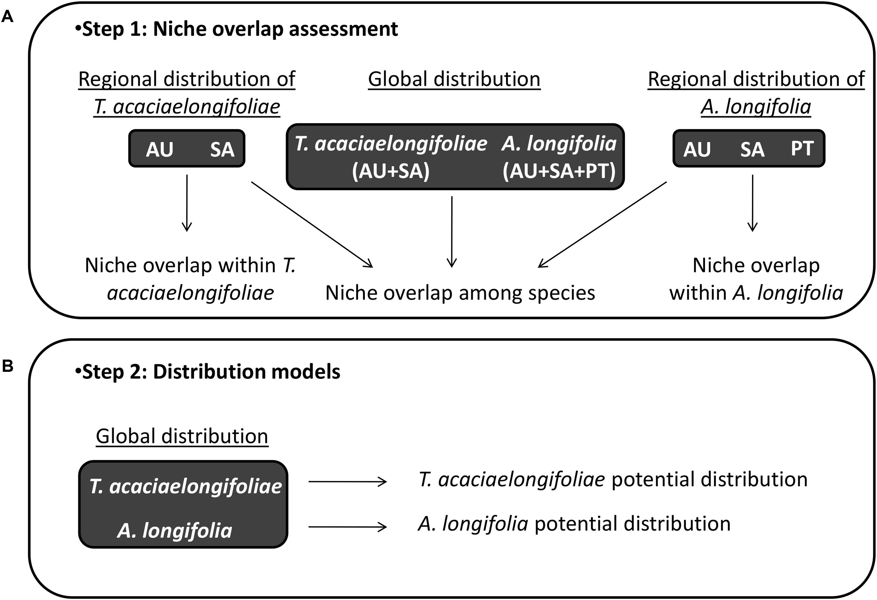 Frontiers Can Niche Dynamics And Distribution Modeling Predict The Success Of Invasive Species Management Using Biocontrol Insights From Acacia Longifolia In Portugal Ecology And Evolution
