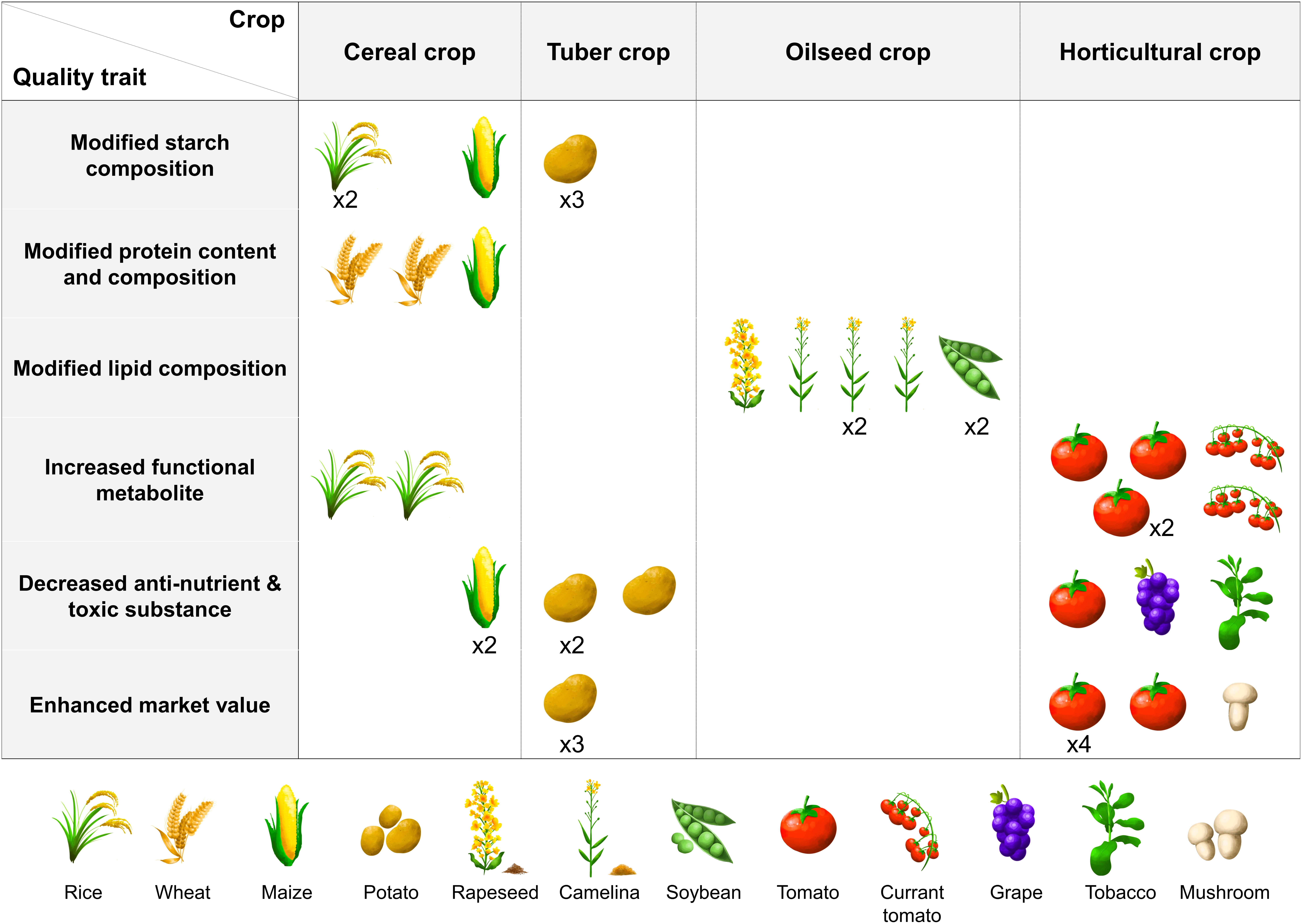 Apple, Description, Cultivation, Domestication, Varieties, Uses,  Nutrition, & Facts