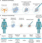 Frontiers | Immunotherapy For Ovarian Cancer: Adjuvant, Combination ...