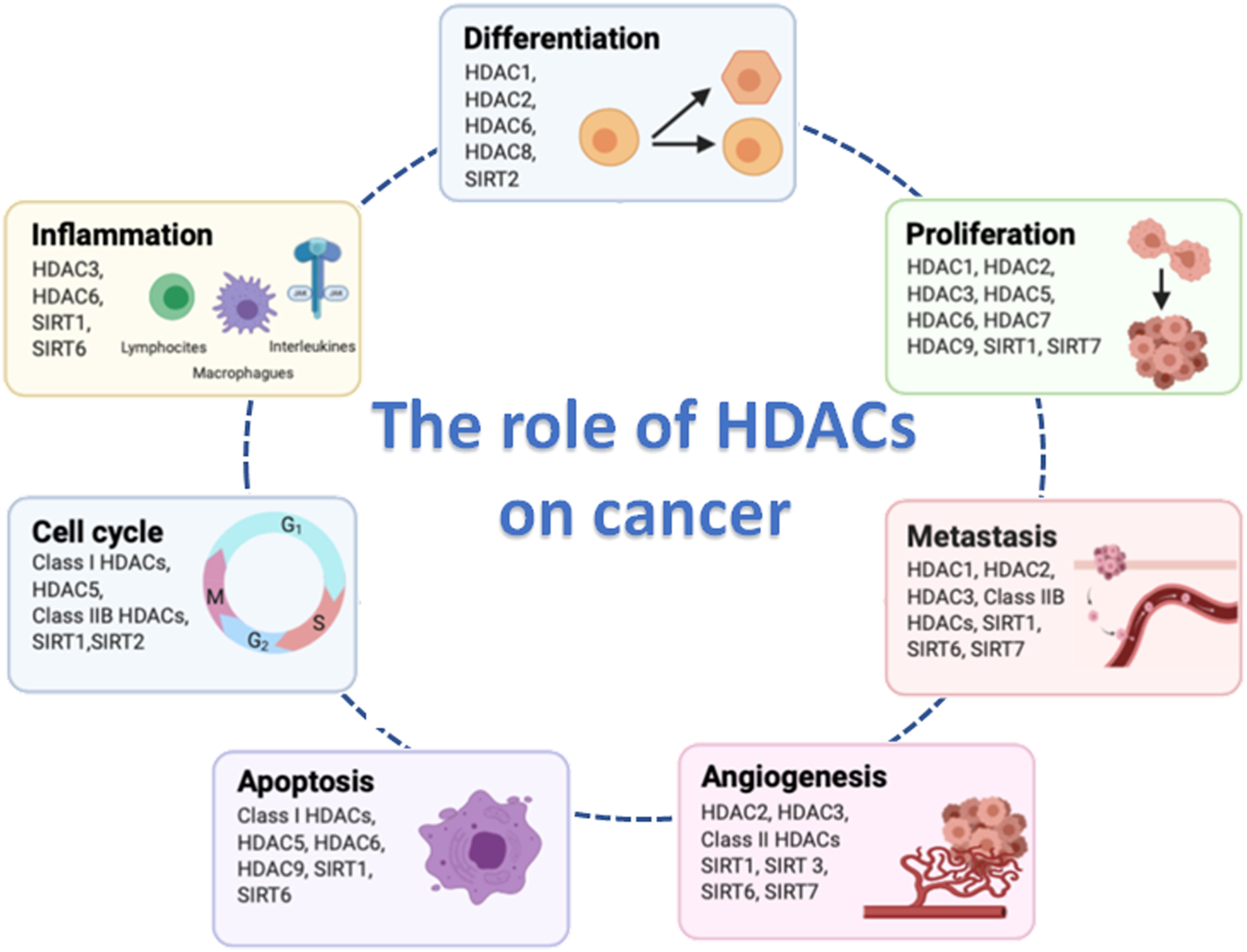 Frontiers | Synergistic Enhancement of Cancer Therapy Using HDAC ...