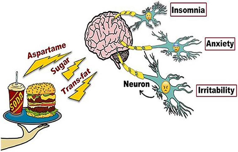 图2——不健康的食物对大脑的影响。