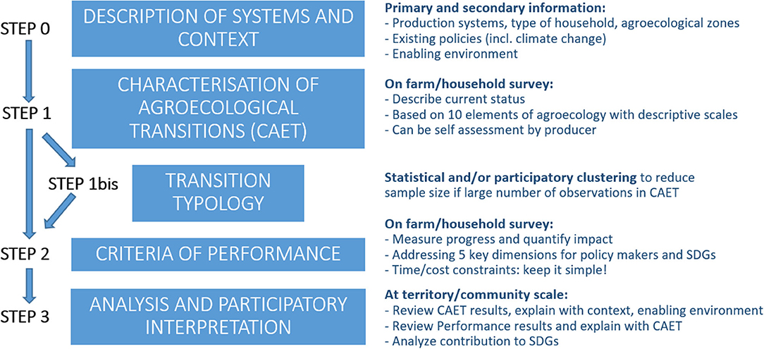 Analyse Organizational Performance, FAO Capacity Development