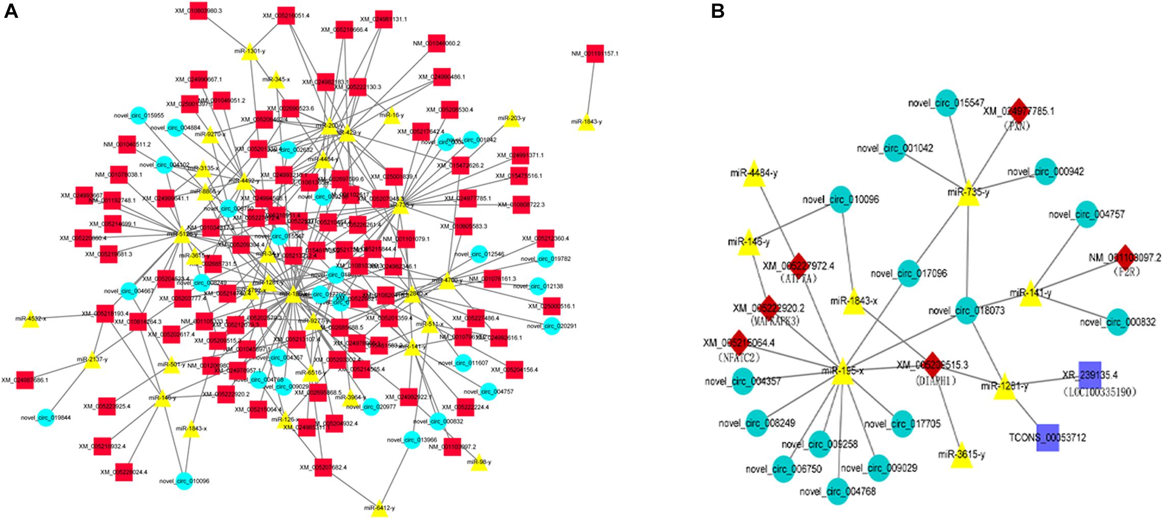 Yak1 is a putative target of 1-ABC aYAK1 transcript levels are