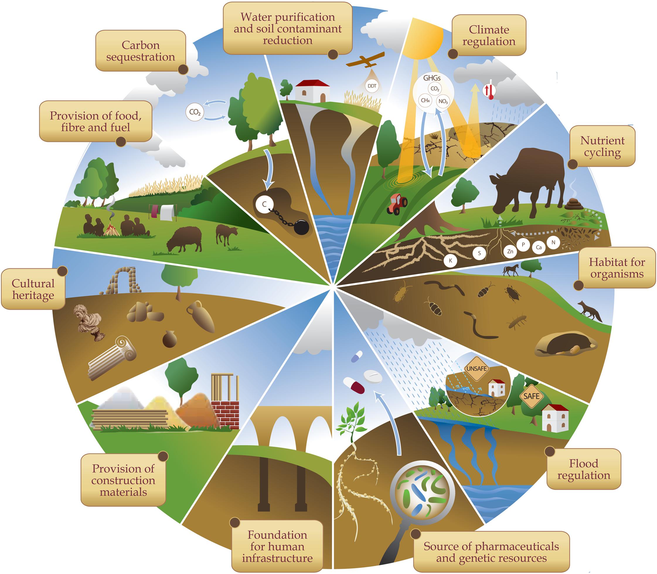 SOIL - Quality assessment of meta-analyses on soil organic carbon