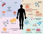 Frontiers | Exosomal circRNAs: Sorting Mechanisms, Roles and Clinical ...