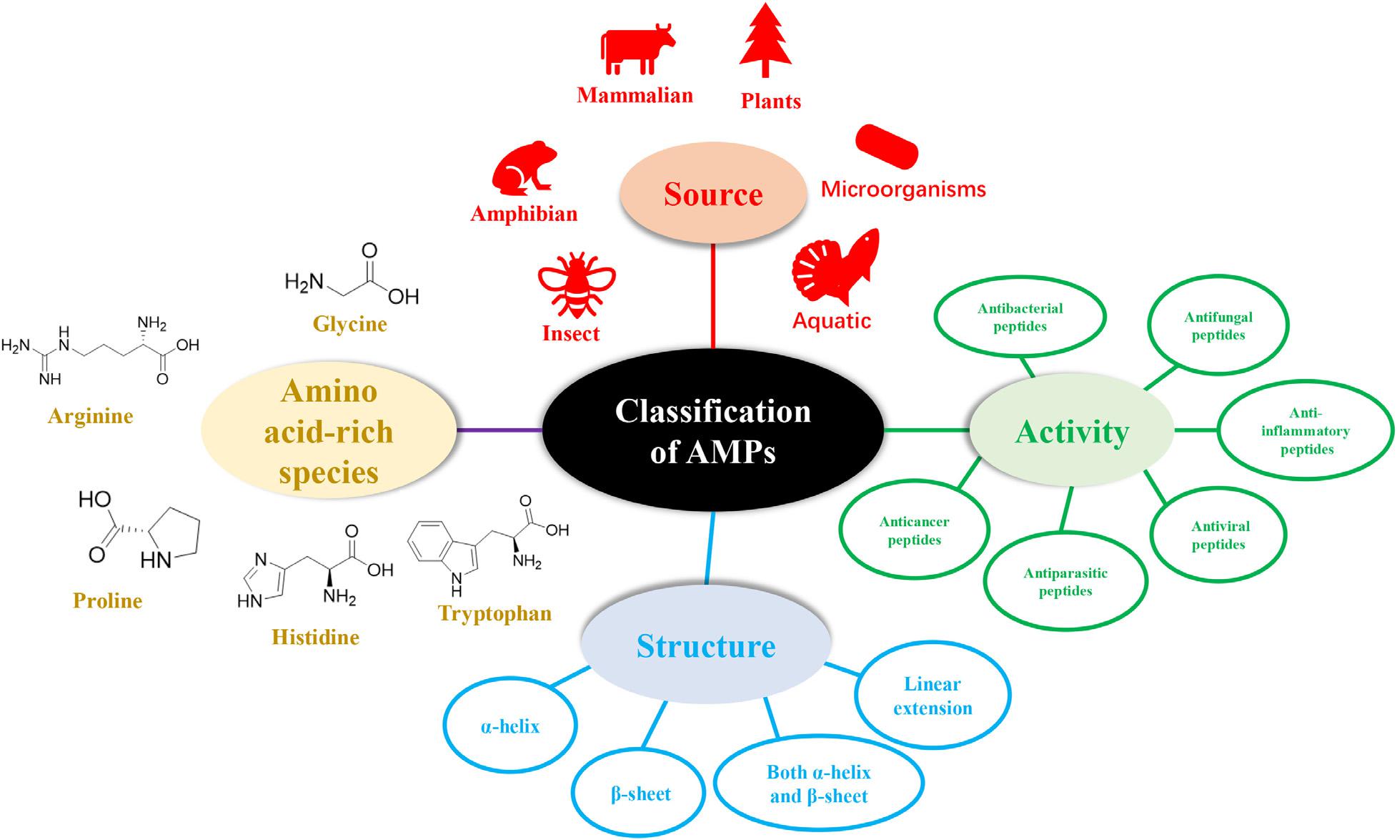 Frontiers Antimicrobial Peptides Classification Design Application And Research Progress In Multiple Fields Microbiology
