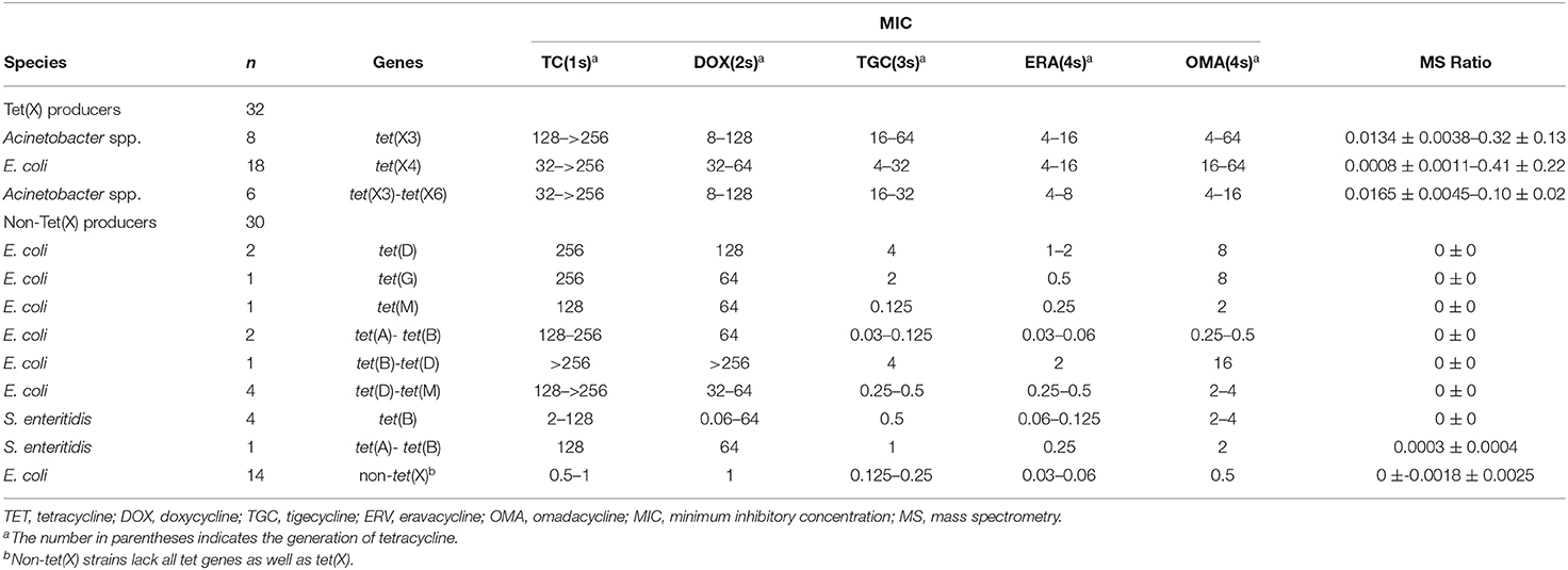 Frontiers | Rapid Detection of High-Level Tigecycline Resistance in Tet 