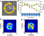 Frontiers | Terahertz Metasurfaces: Toward Multifunctional And ...