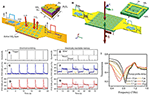 Frontiers | Terahertz Metasurfaces: Toward Multifunctional And ...