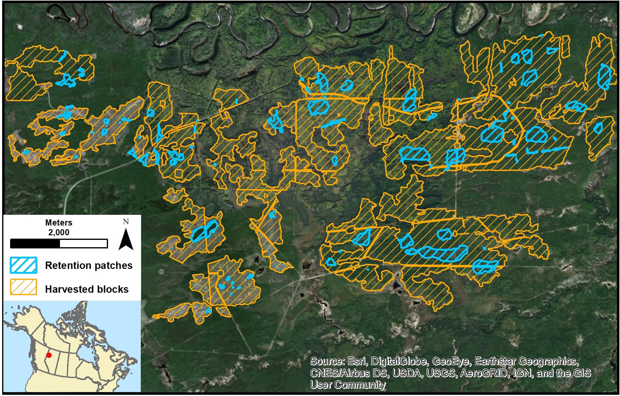 Frontiers Application Of The Conservation Planning Tool Zonation To Inform Retention Planning In The Boreal Forest Of Western Canada Ecology And Evolution
