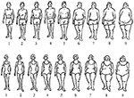 Frontiers | Disentangling the Drivers of Obesity: An Analytical ...