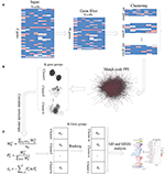 Frontiers | Identification Of Differential Gene Groups From Single-Cell ...