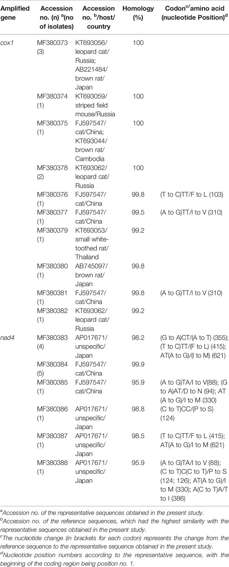 Frontiers Prevalence And Genetic Characterization Of Two Mitochondrial Gene Sequences Of Strobilocercus Fasciolaris In The Livers Of Brown Rats Rattus Norvegicus In Heilongjiang Province In Northeastern China Cellular And Infection Microbiology