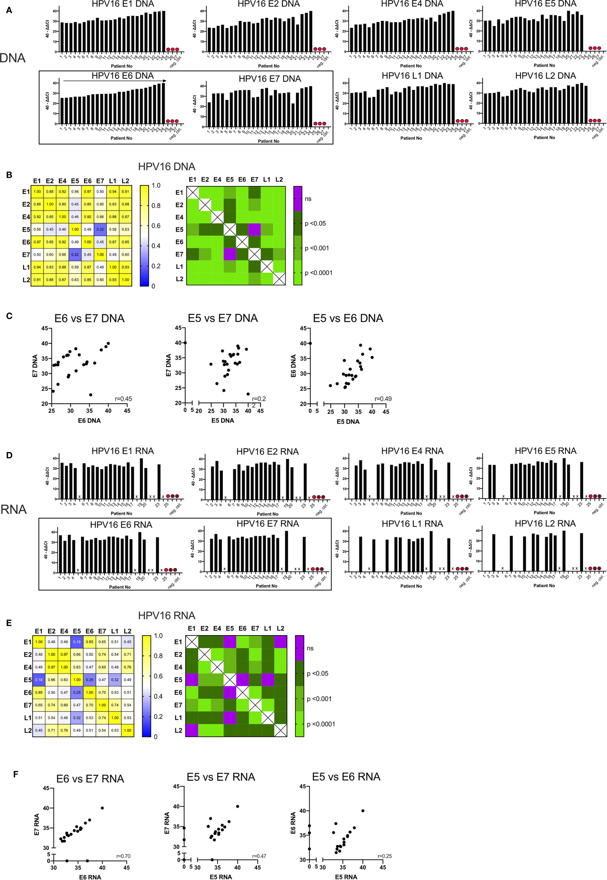 Frontiers Correlation Of Hpv16 Gene Status And Gene Expression With