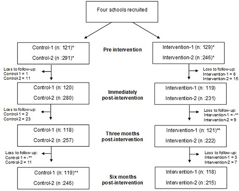 Frontiers | Breast Education Improves Adolescent Girls' Breast Knowledge,  Attitudes to Breasts and Engagement With Positive Breast Habits