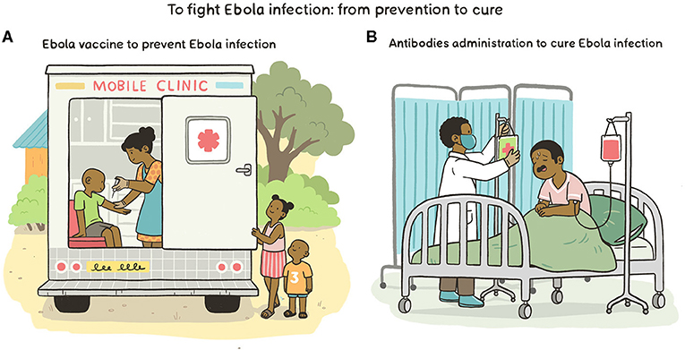 图3 -战斗埃博拉病毒感染。
