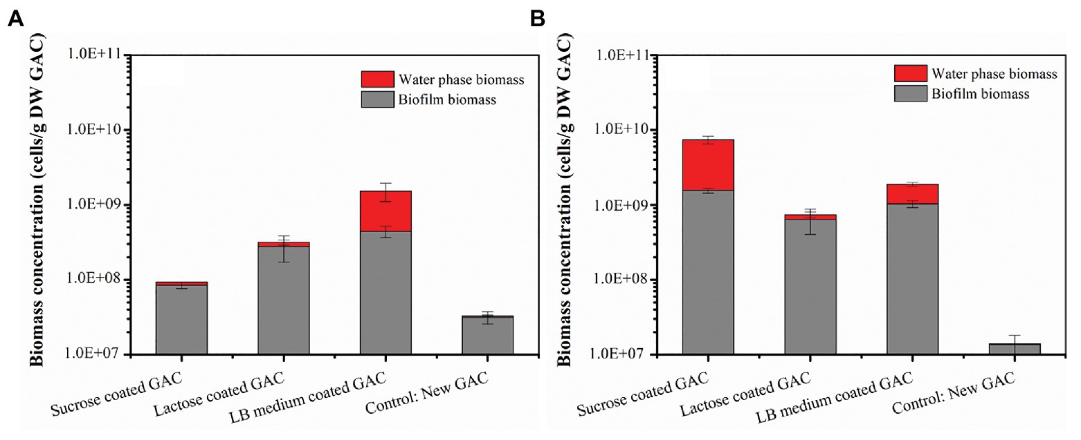 Frontiers Substrate Pre Loading Influences Initial Colonization Of Gac Biofilter Biofilms Microbiology