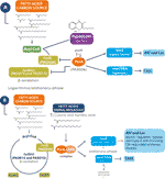 Frontiers | Tetradecanoic Acids With Anti-Virulence Properties Increase ...