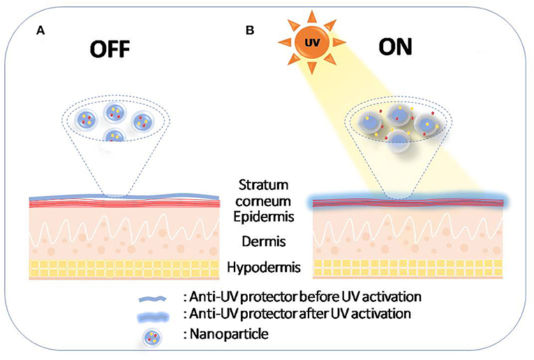 UV-Activated Adhesive Treats Heart Defects, BioScan, Apr 2014