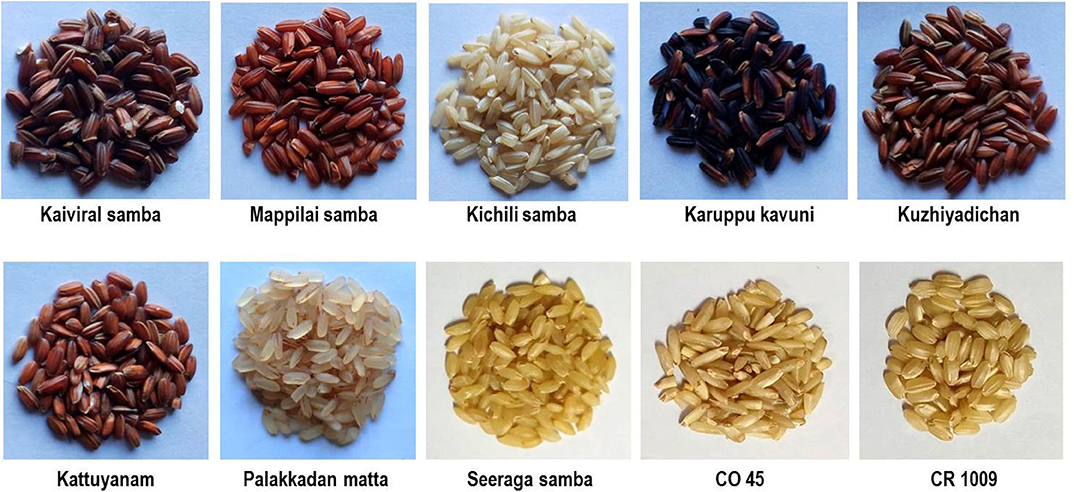 Frontiers Comparative Profiling Of Volatile Compounds In Popular 