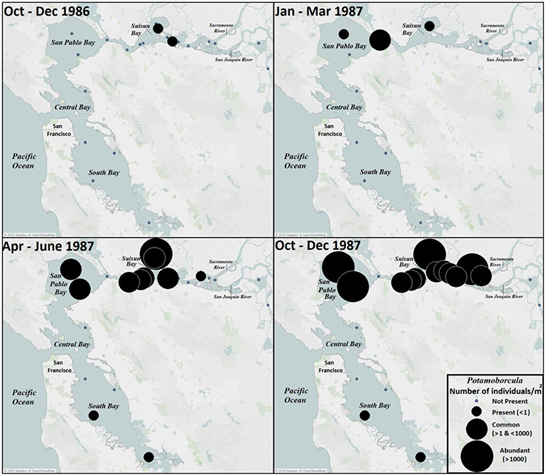 图1——最初的传播和分布Potamo在旧金山湾,从1986年到1987年。